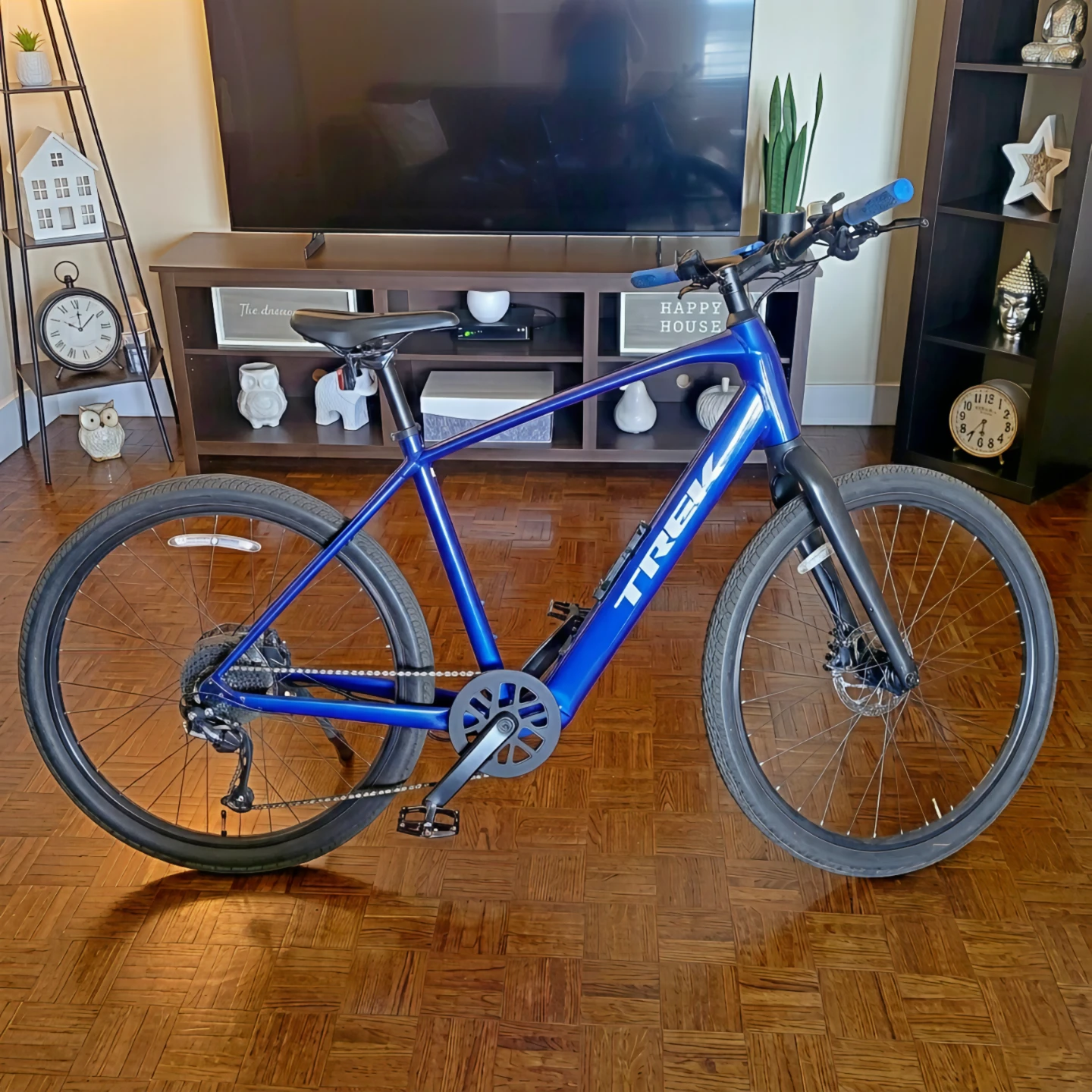 Immaculate 2023 Trek Dual Sport+ 2 (Size Large])