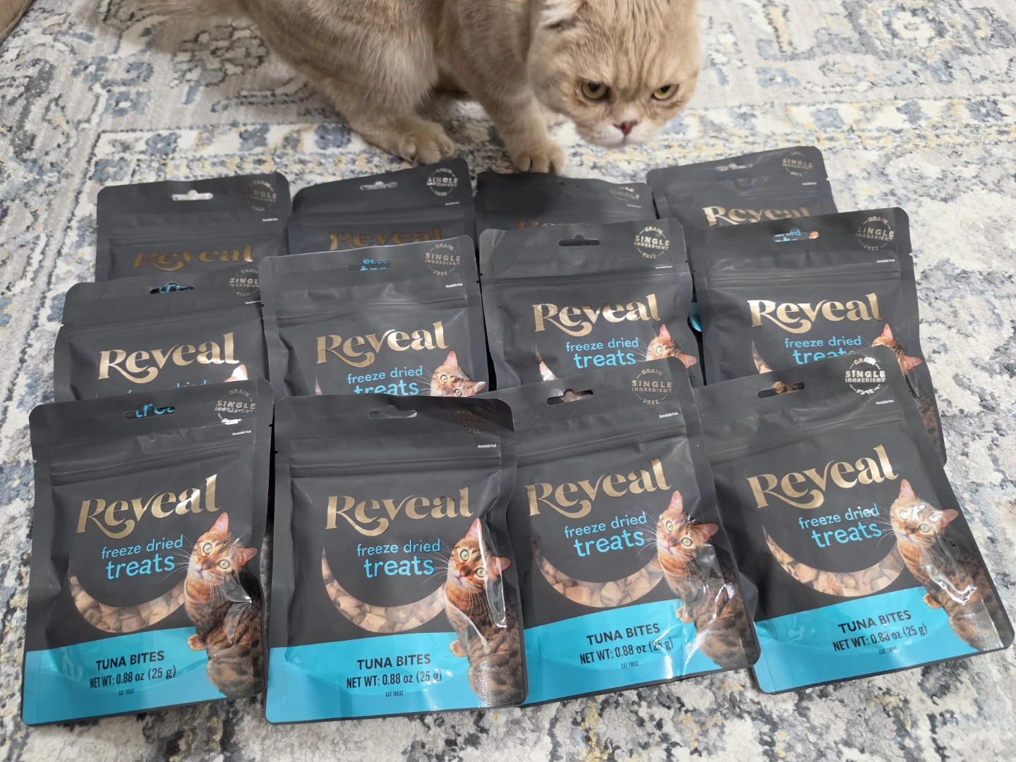 CATS FOOD (ALL ON THIS PHOTO) - photo 3