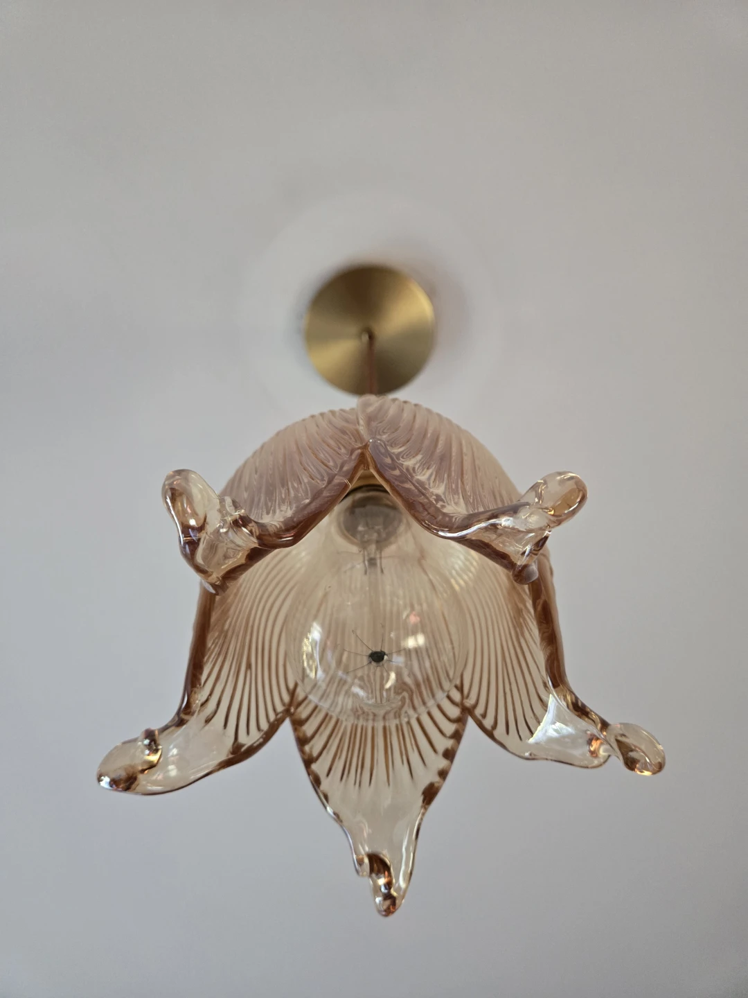 Glass Tulip Pendant Light Fixture