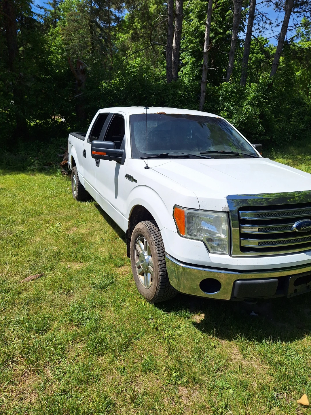 White Ford F-150 4x4 Truck - photo 2