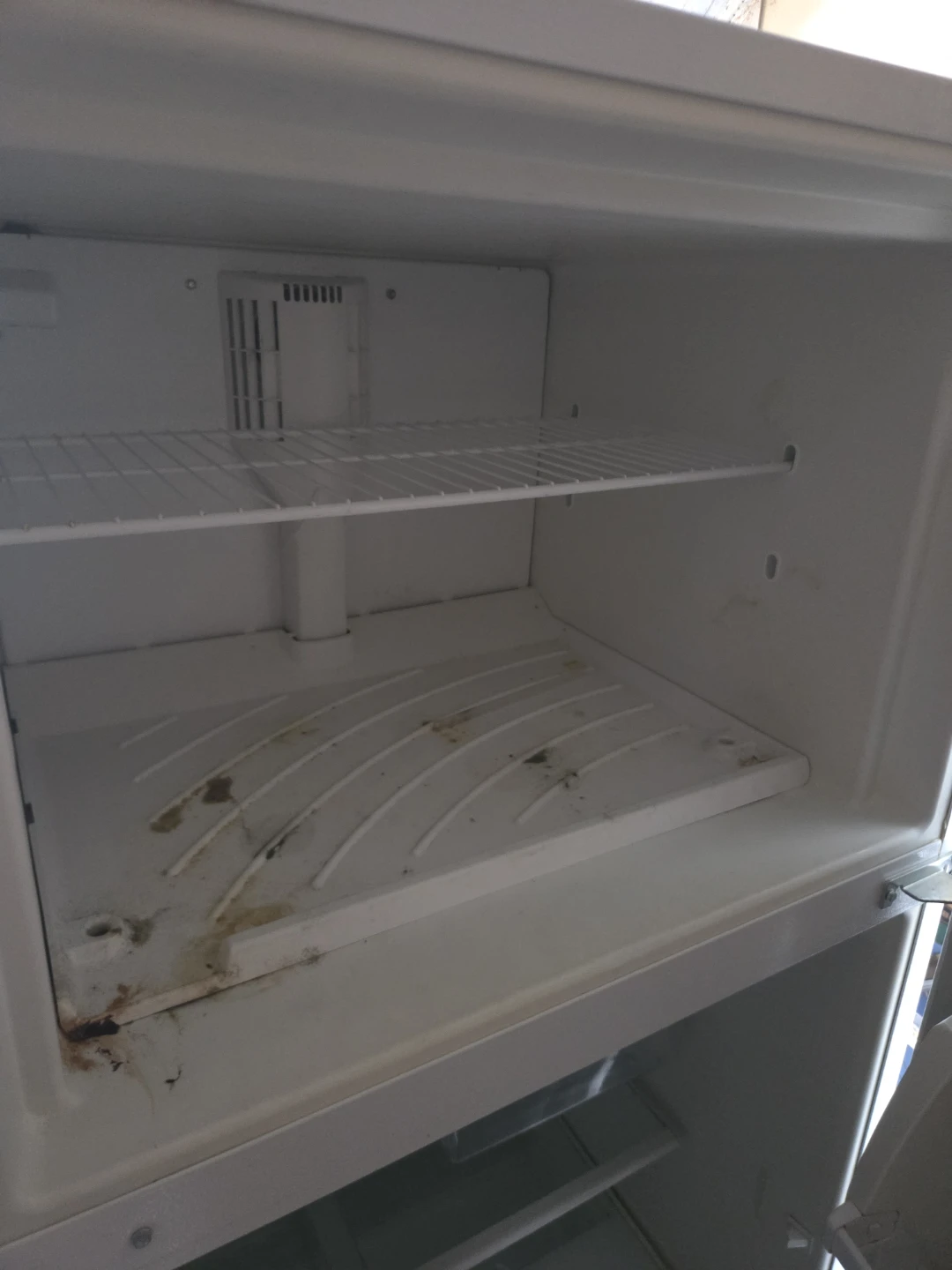 Inglis Refrigerator - photo 4