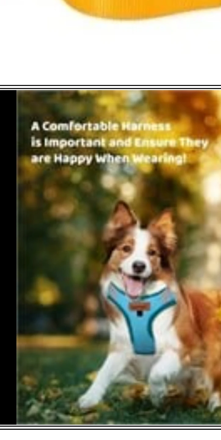 No Pull Dog Harness with Leash Set - photo 2