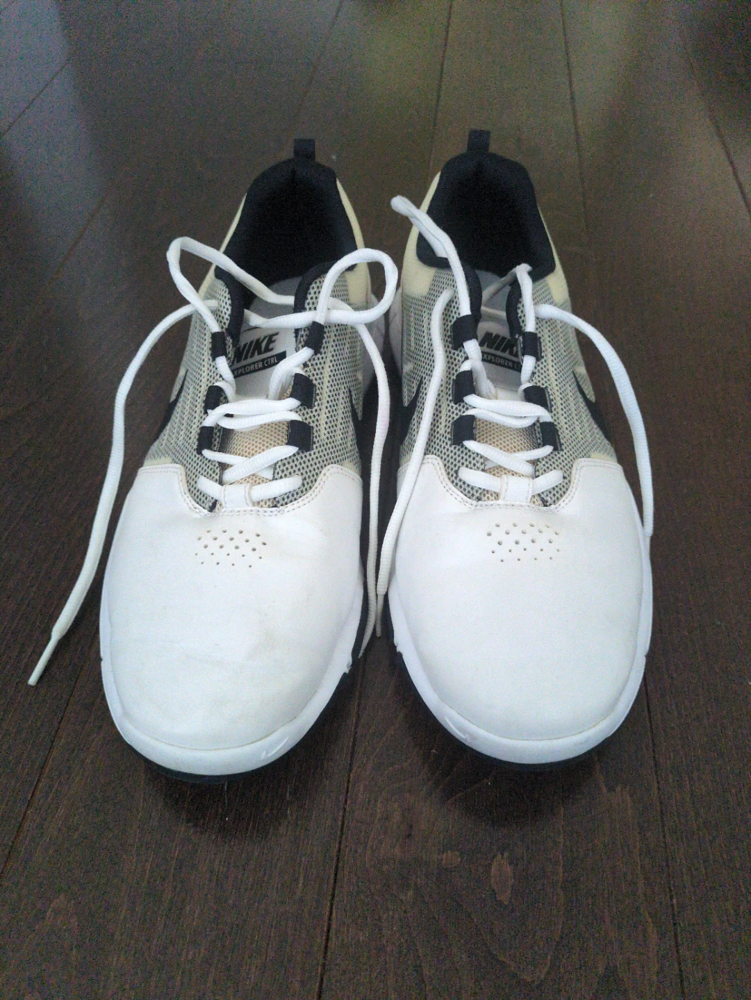 Nike Golf Shoes (Size 9W)