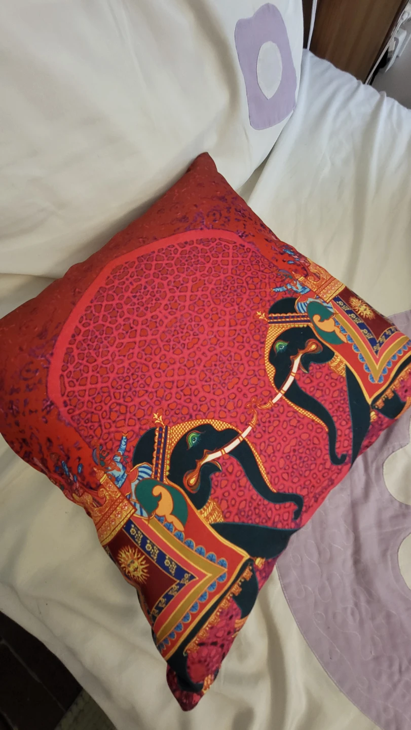 Decorative Throw Pillows - photo 5