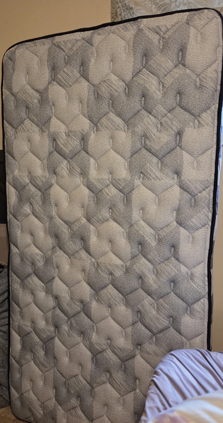 Like New Sealy Posturepedic Twin Mattress + Free Protector - photo 4