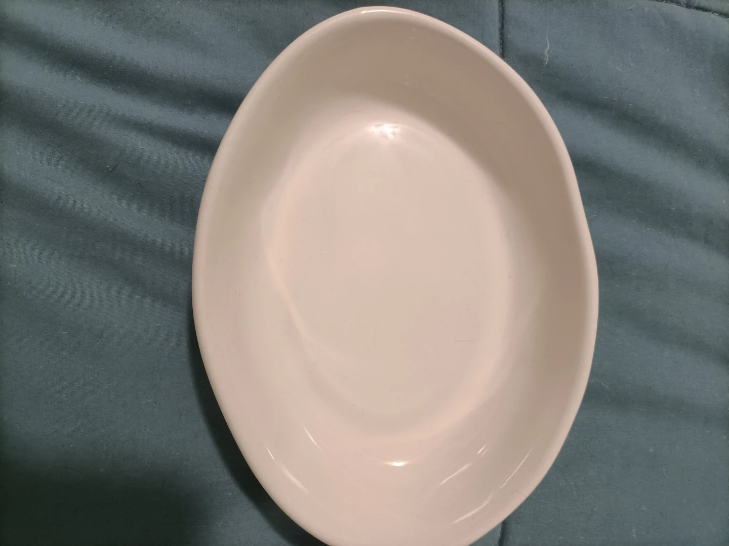 Rae Dunn Cat Food Plate ⚽ - photo 3