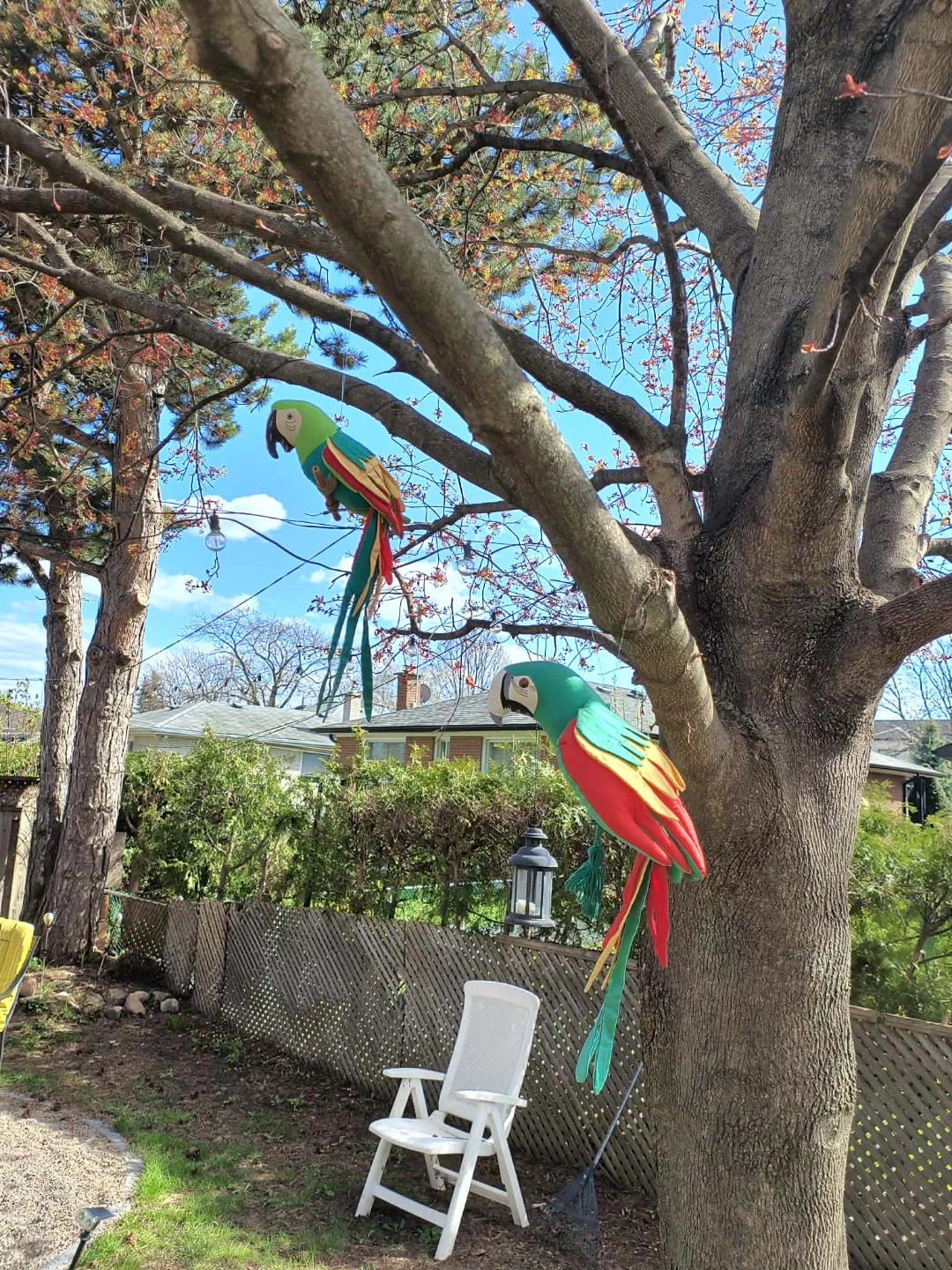 Set of 2 Hanging Macaw Parrots - photo 2
