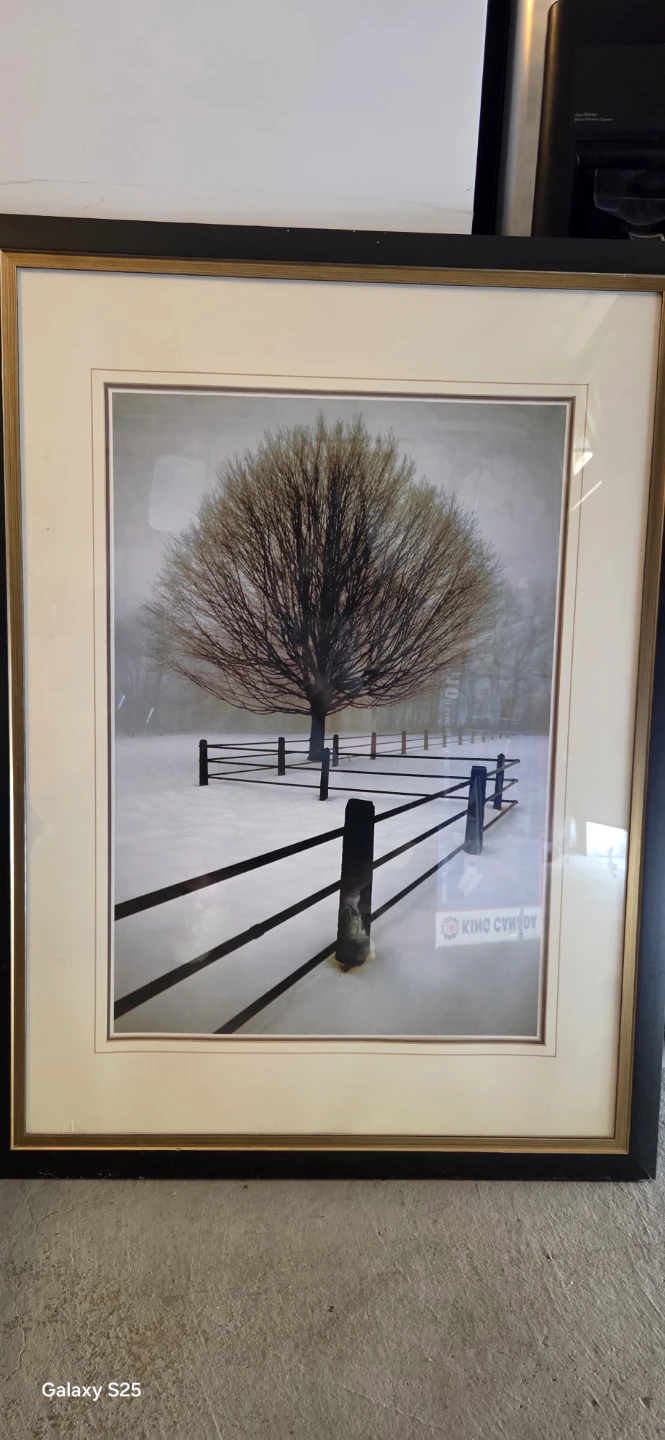 Framed Winter Tree Art Print