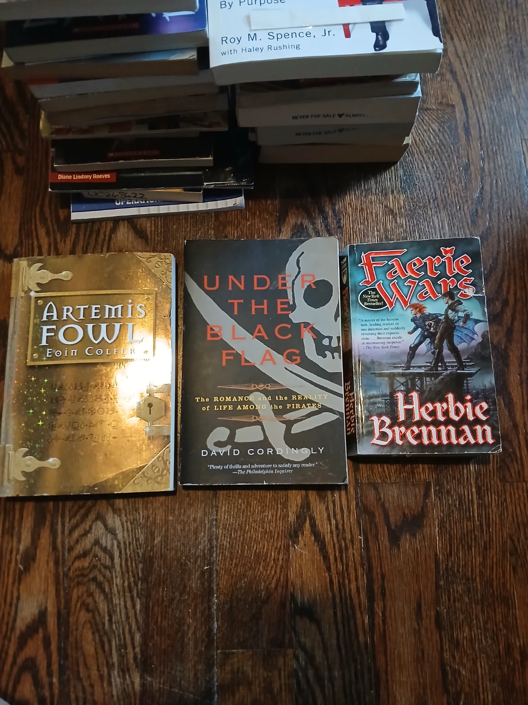 A young adult's full book bundle