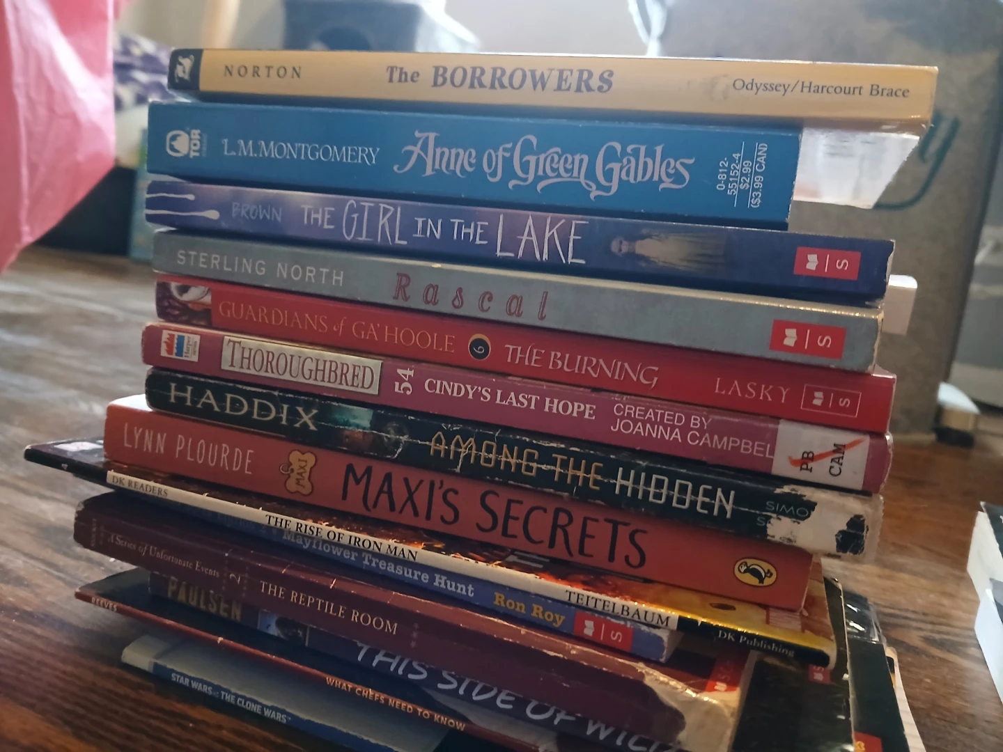 A young adult's full book bundle - photo 3