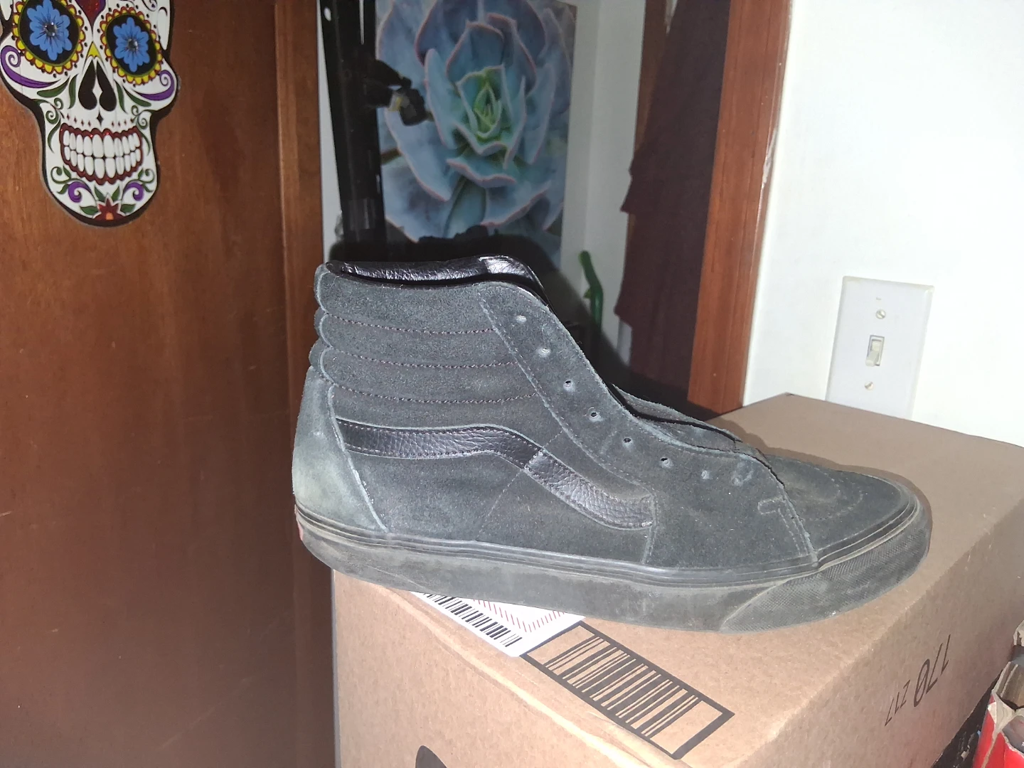 Vans Sk8-Hi Skate Shoes