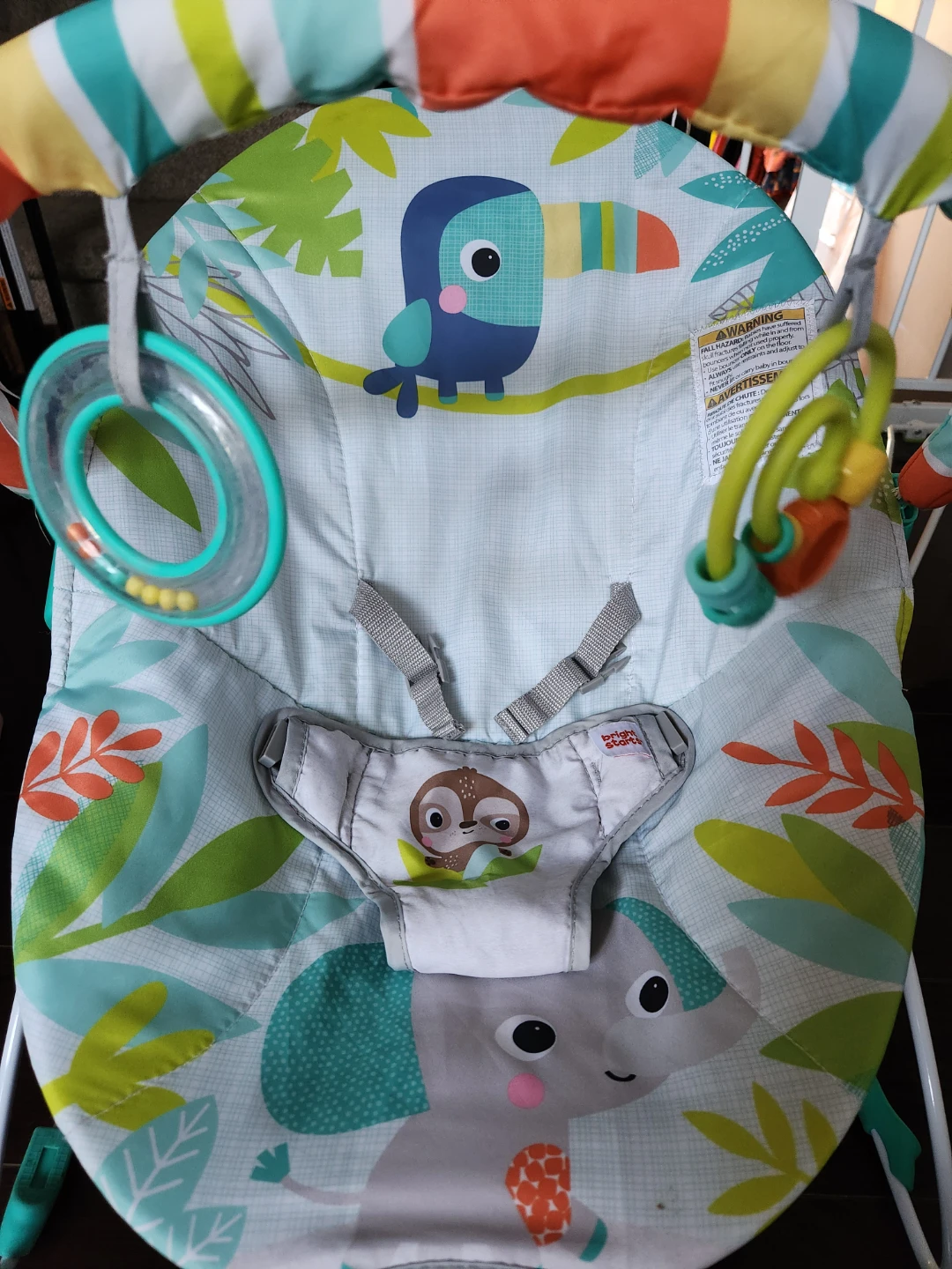 Bright Starts Baby Bouncer