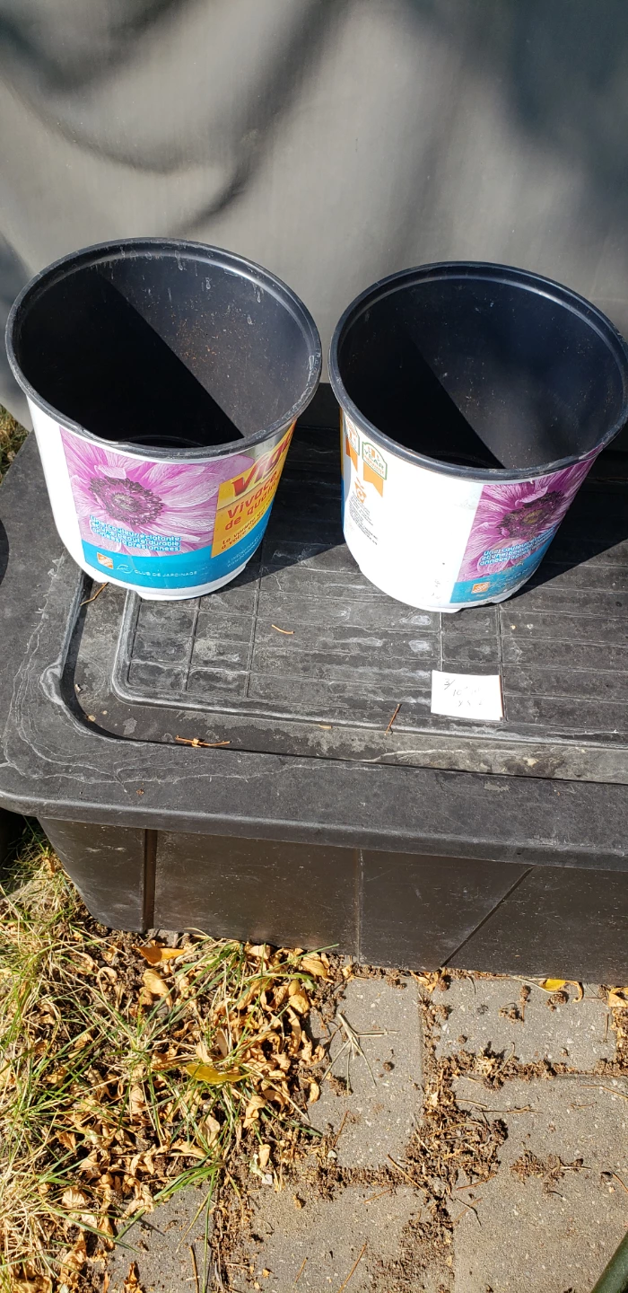 WANTED: Buyers for Assorted Plant Pots - photo 3
