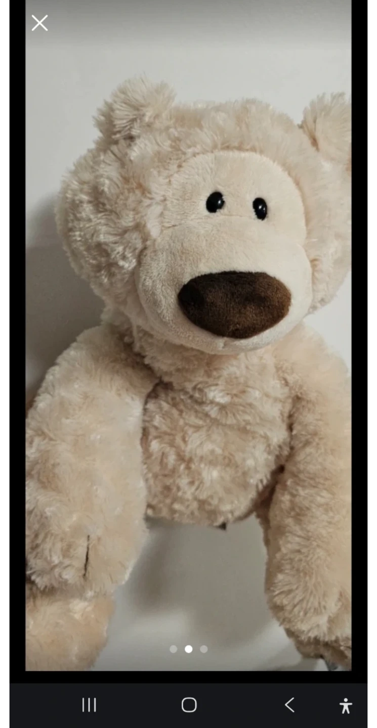 Philbin Teddy Bear - Beige, 18 Inch - photo 2