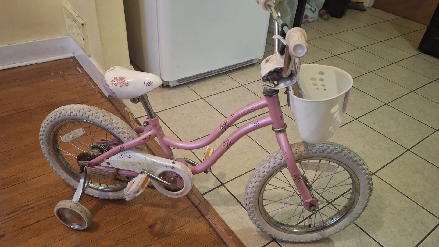 Pink Trek Kids Bike with Training Wheels - photo 2