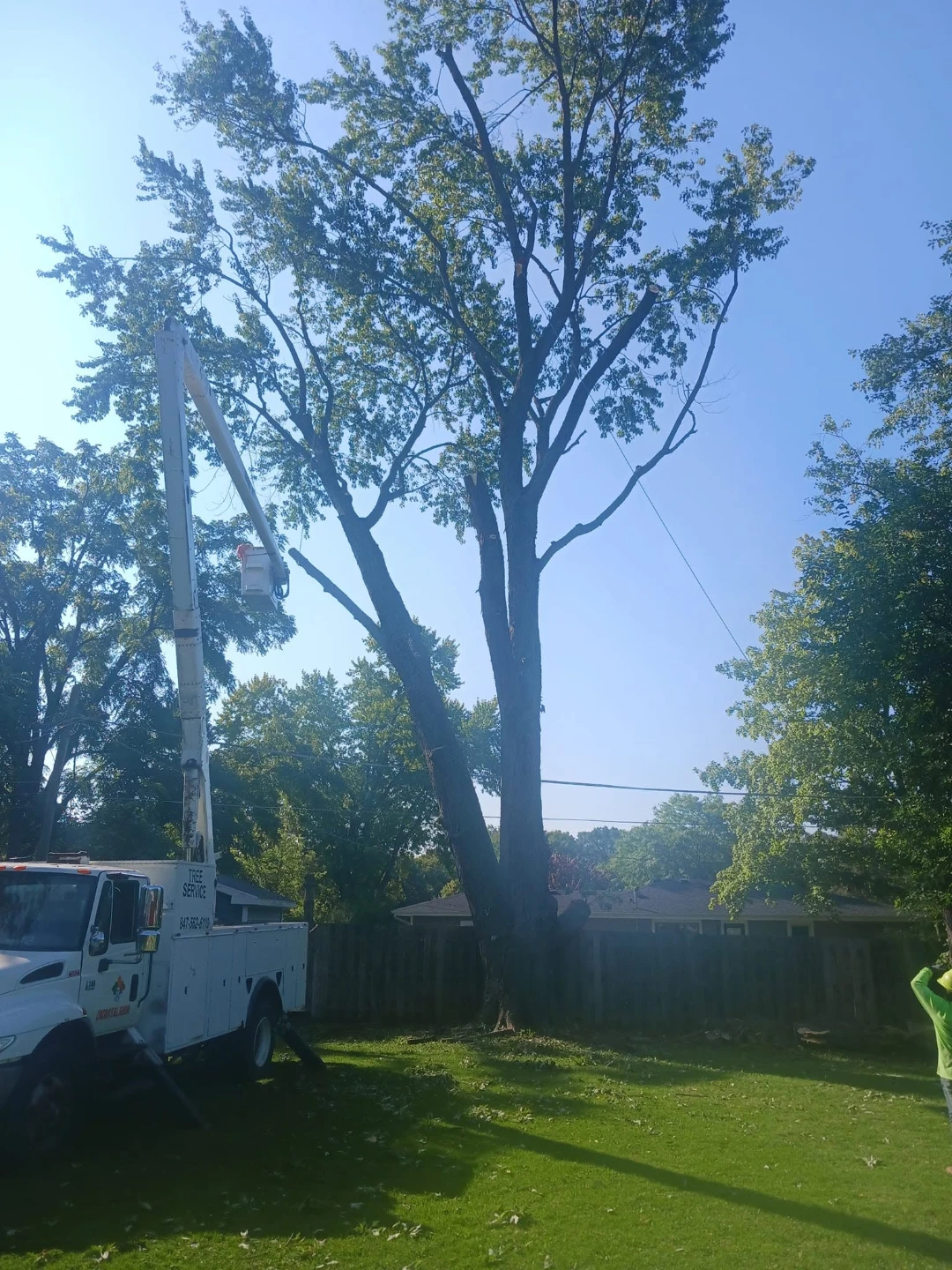 Tree Service Bucket Truck 2003 - photo 3