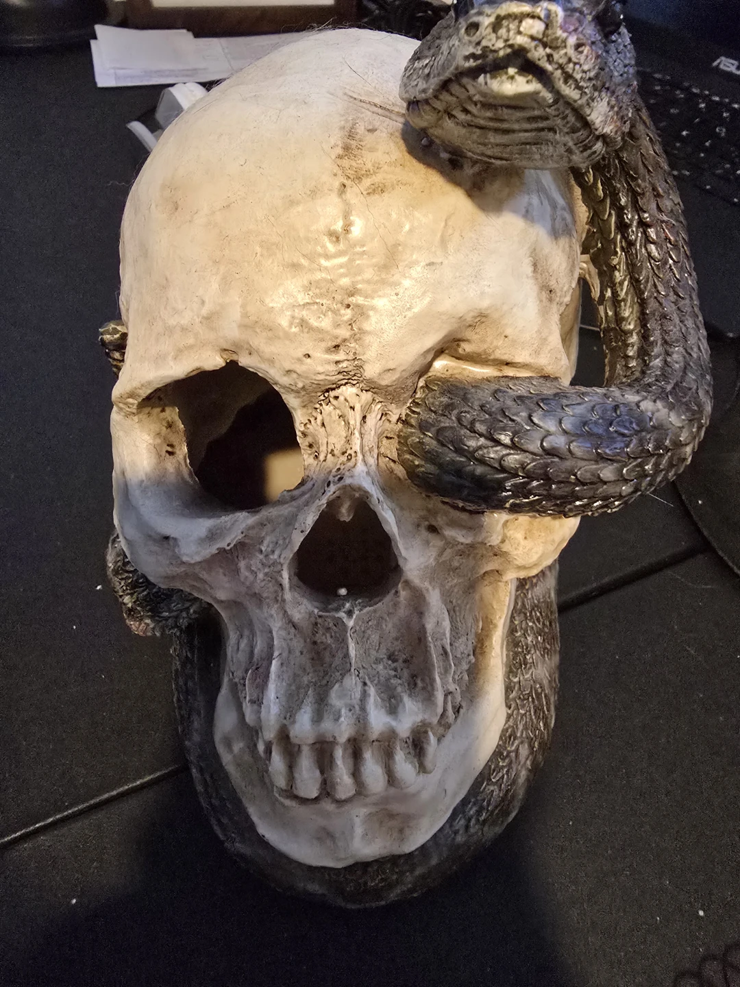 Skull and Snake Decorative Figurine