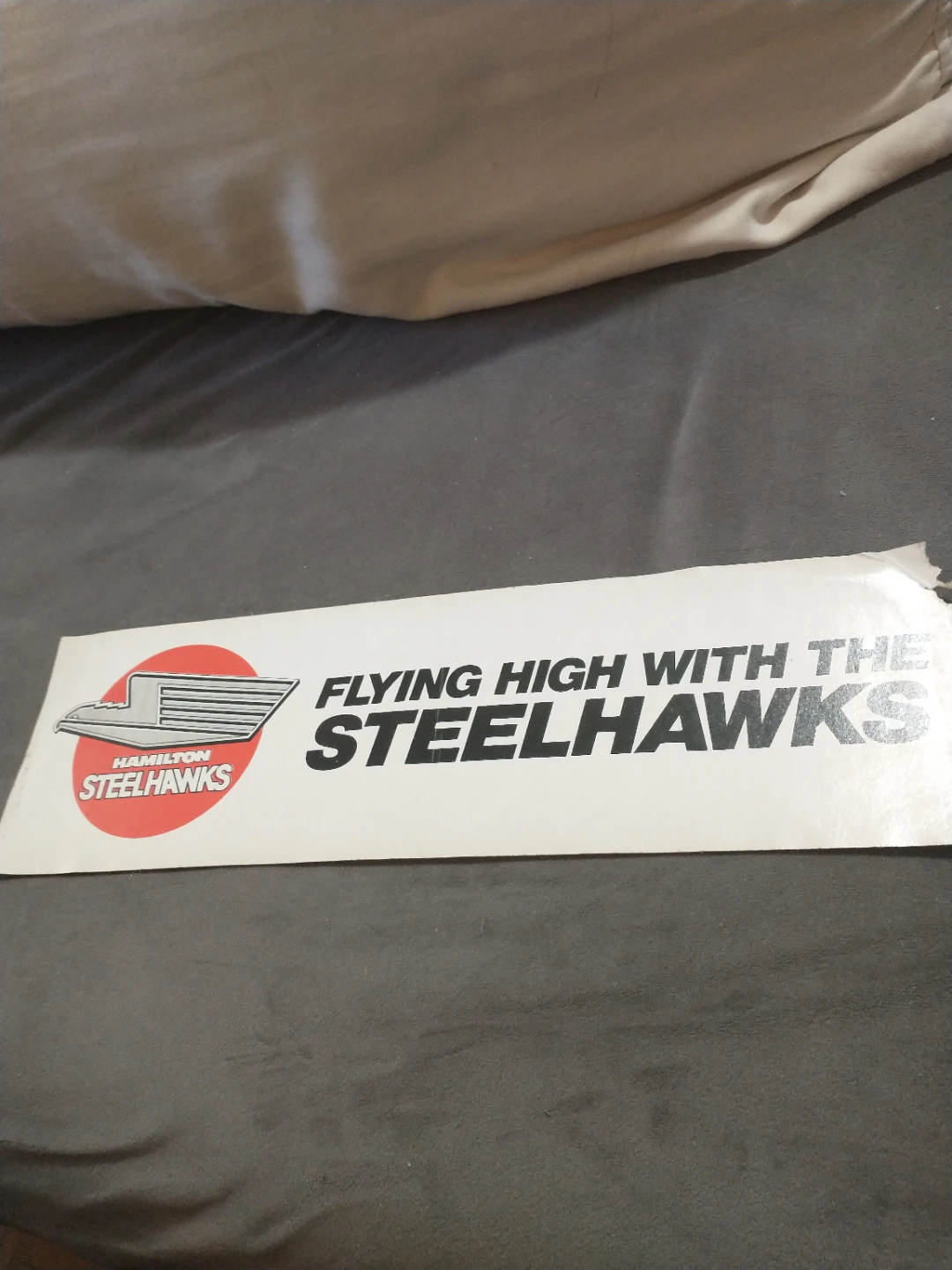 Rare! 1984-1989 OHL Defunct Hamilton Steelhawks Bumper Sticker - photo 2