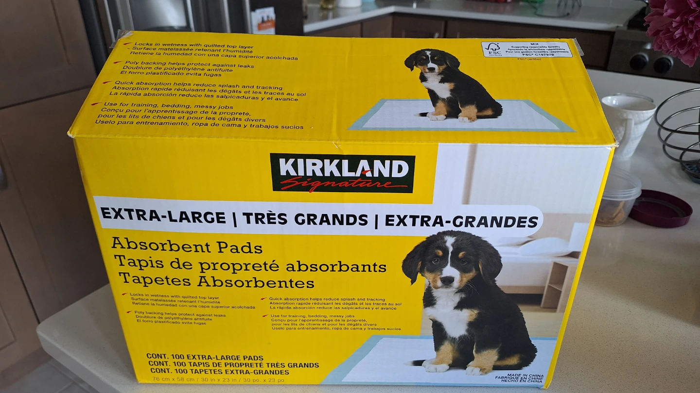 Pads, diapers (opened package) and e collar