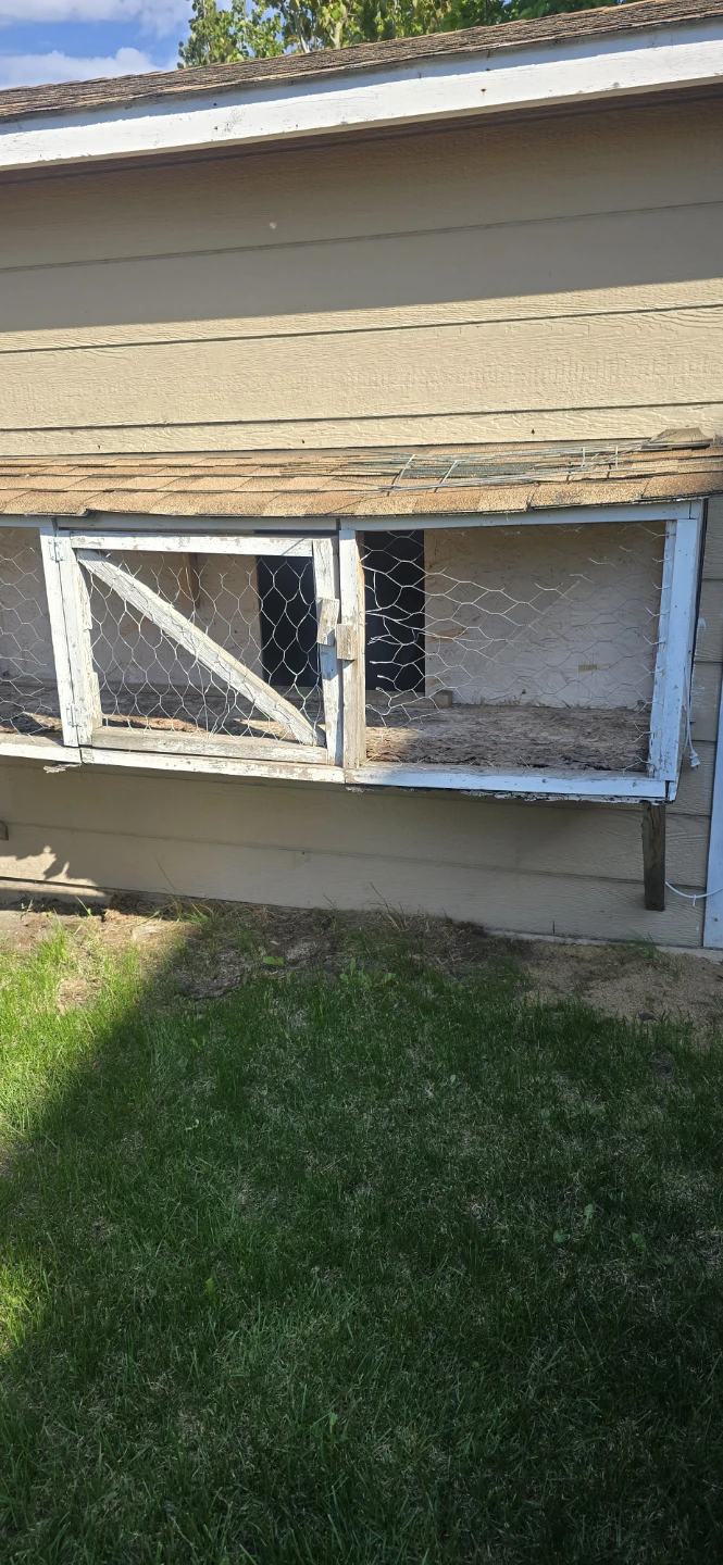 Chicken Coop Extension/Accessory - photo 2