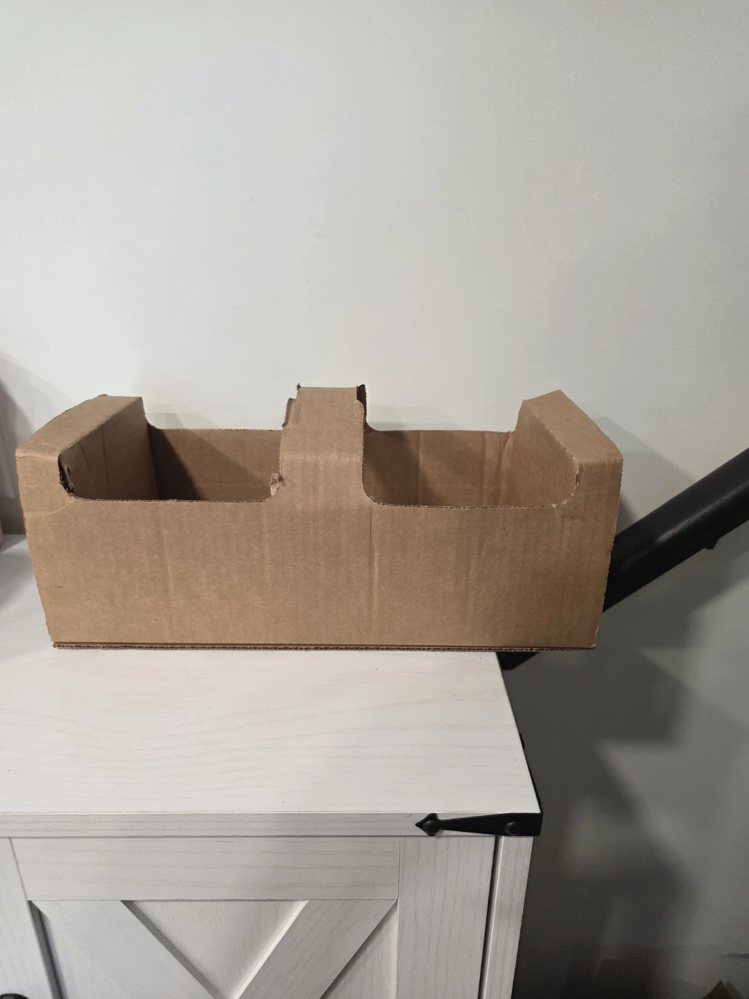 FREE Cardboard carrier caddy