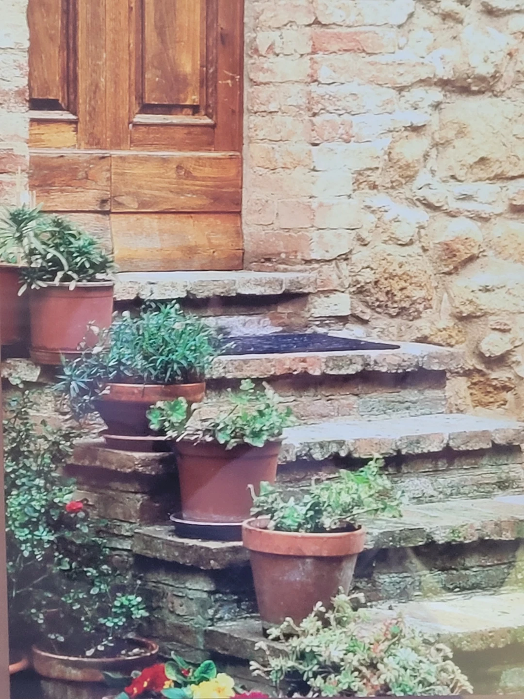 Framed Wall Art Print - Potted Plants and Stone Steps - photo 2