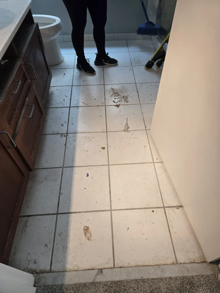 SERVICIO DE LIMPIEZA DE CASAS Y APARTAMENTOS - photo 2