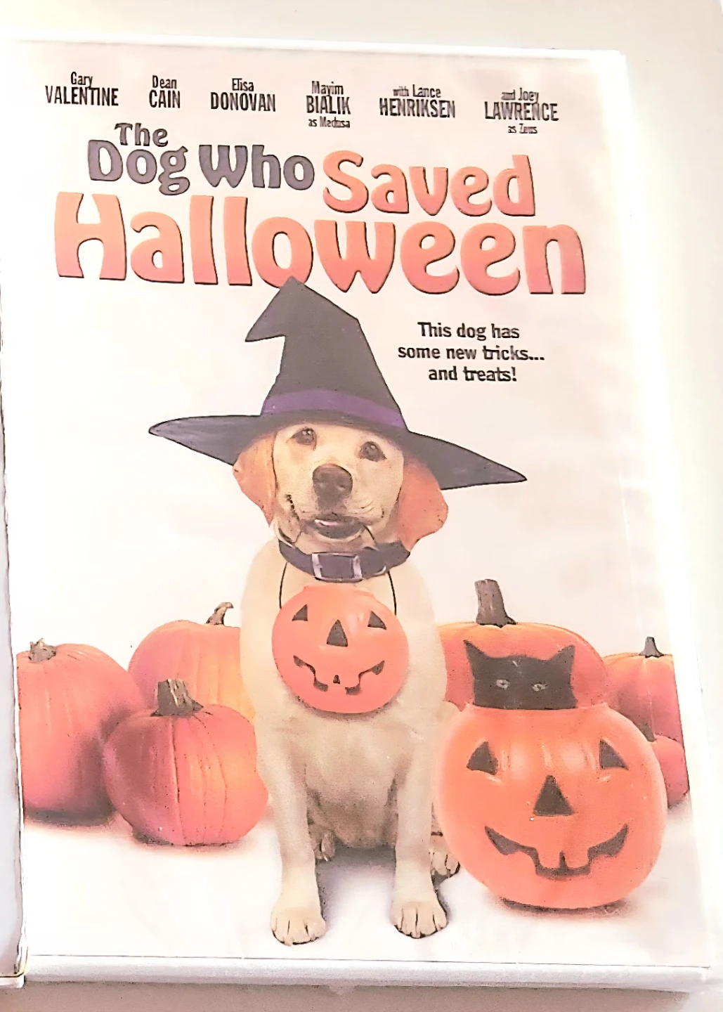 The Dog Who Saved Halloween DVD
