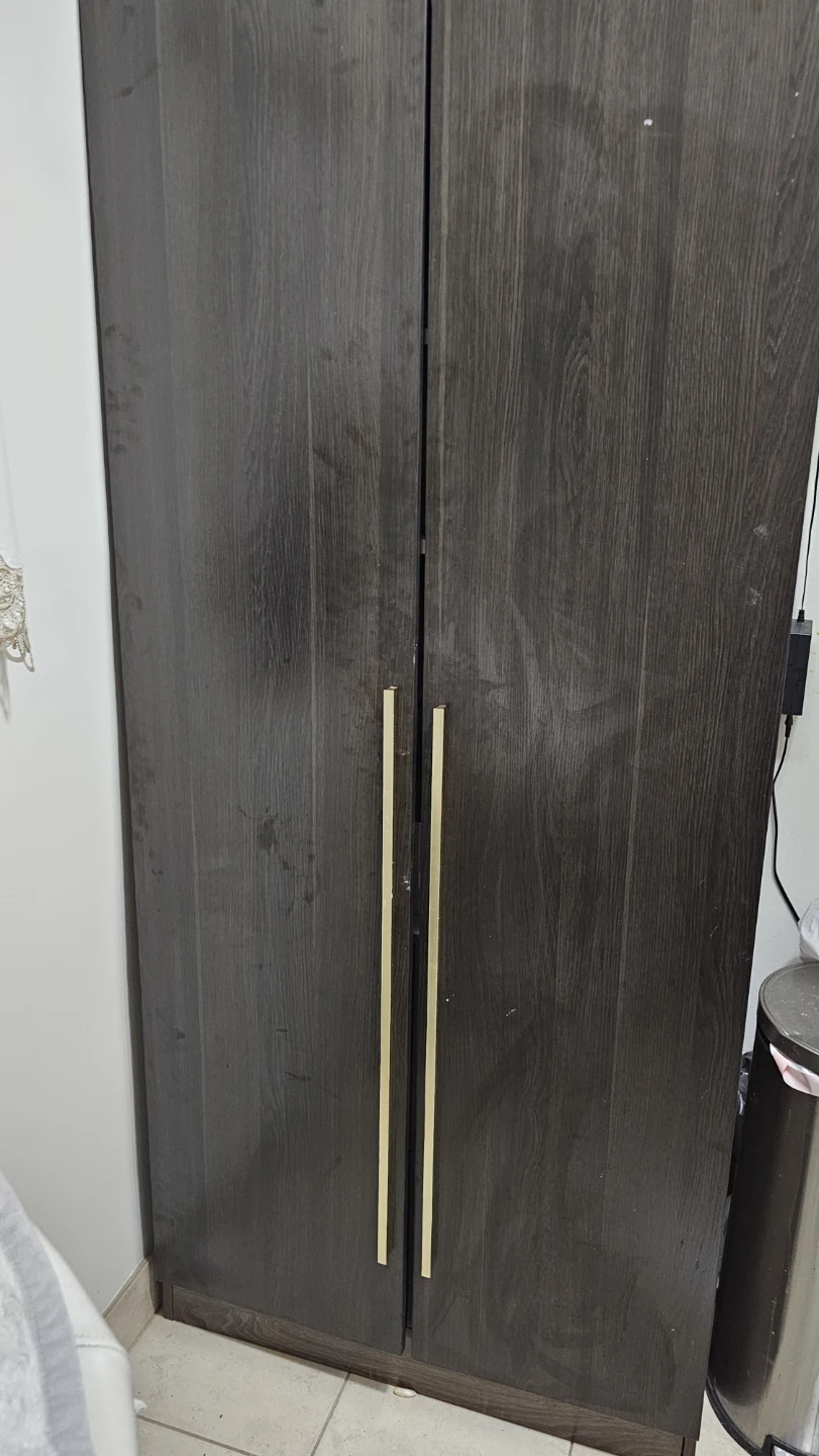 Dark Wood Finish Double Door Cabinet