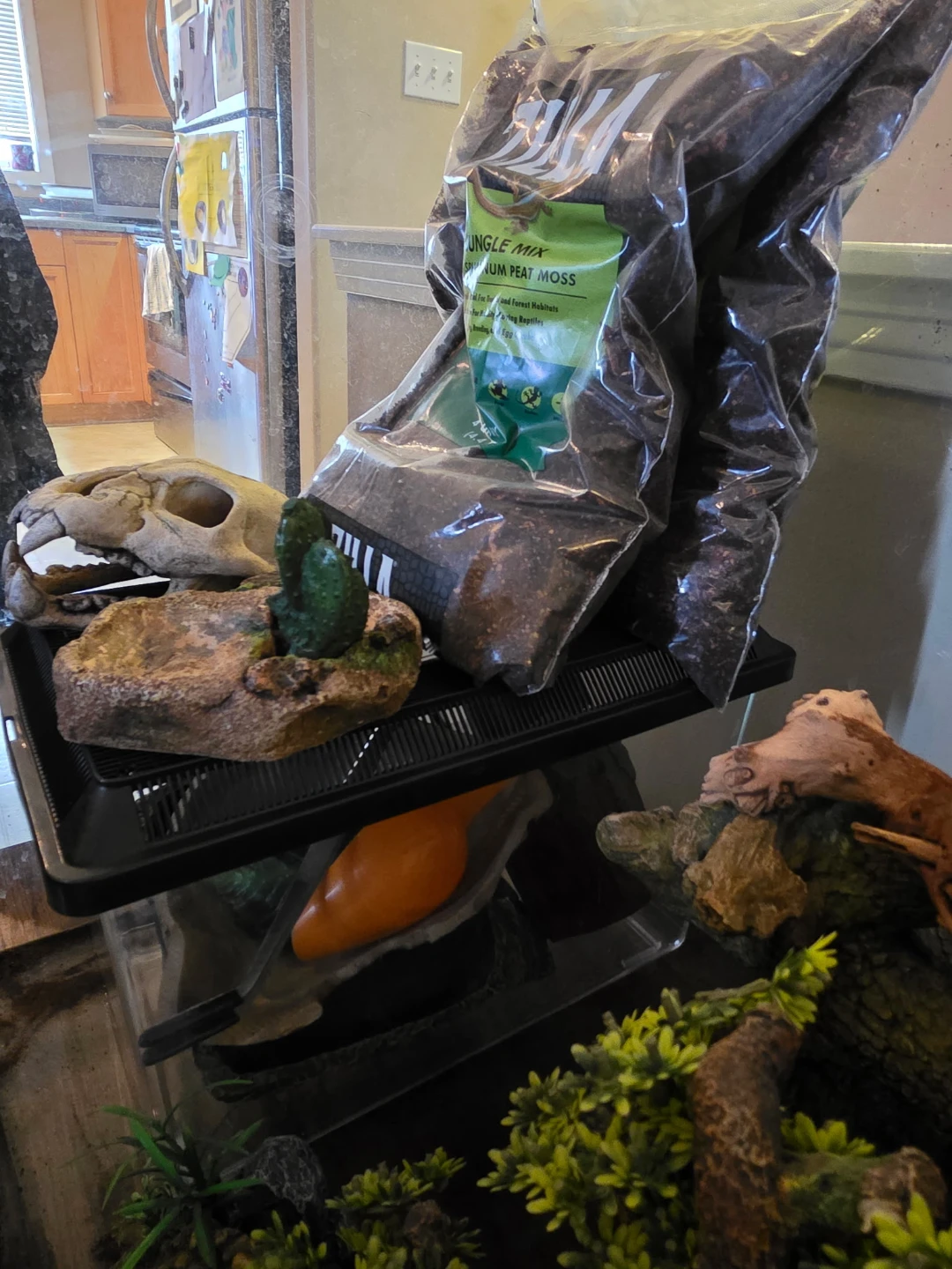 Zilla Terrarium with Accessories - photo 4
