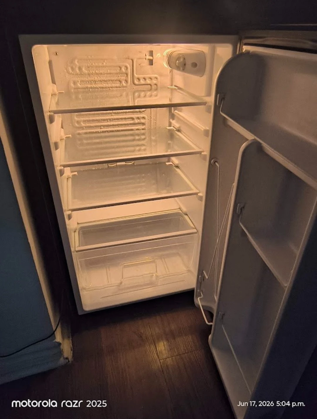 Insignia Mini Fridge - photo 2
