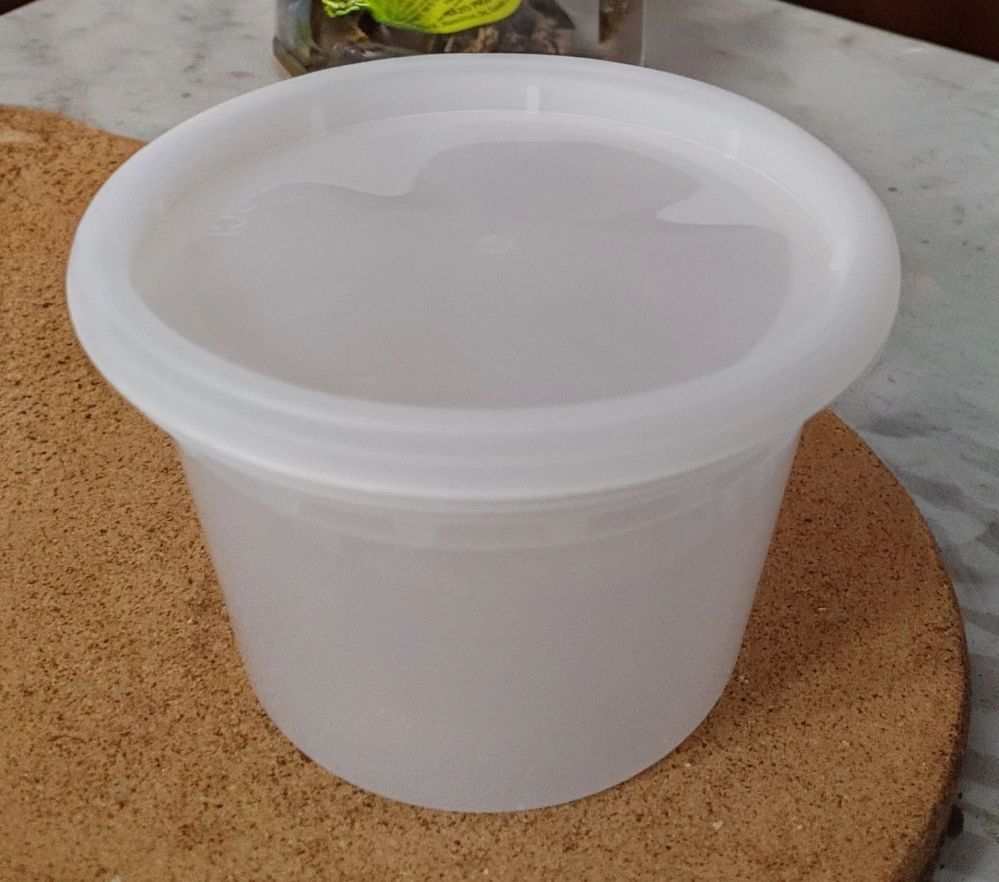 Reusable Food Container with Lid