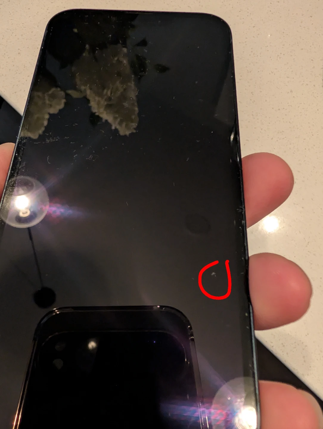 iPhone 13 - photo 3