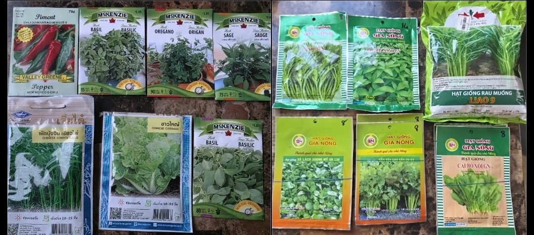 Seeds For Sale