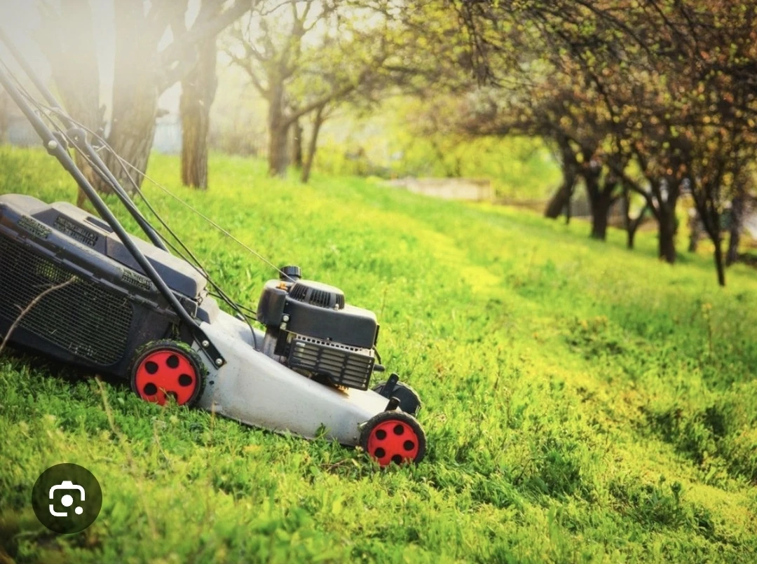 Lawn Mowing service