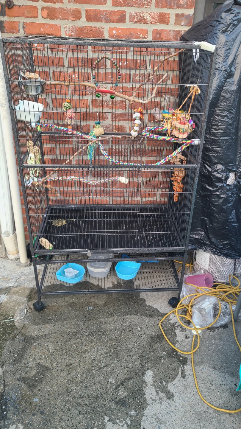 Large Bird Cage with Accessories