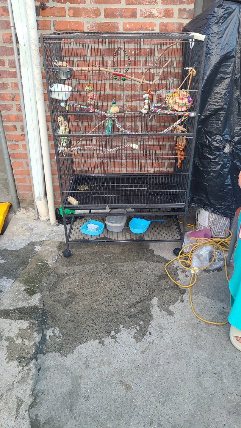 Large Bird Cage with Accessories - photo 3