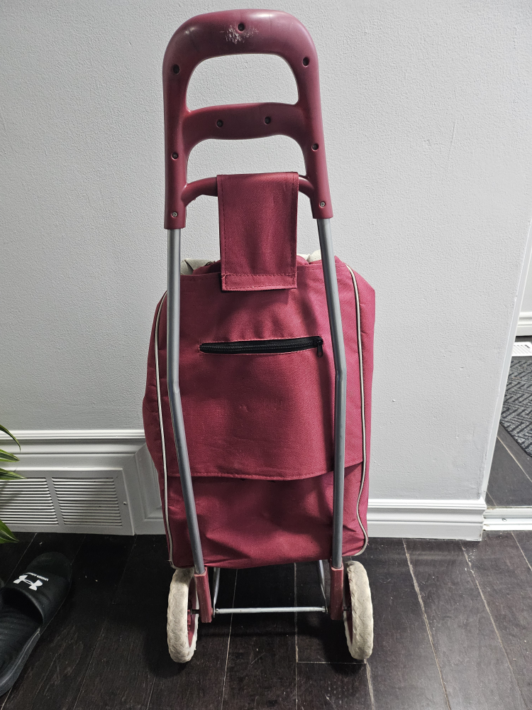Red Rolling Shopping Cart - photo 2