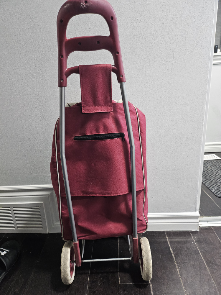 Red Rolling Shopping Cart - photo 4