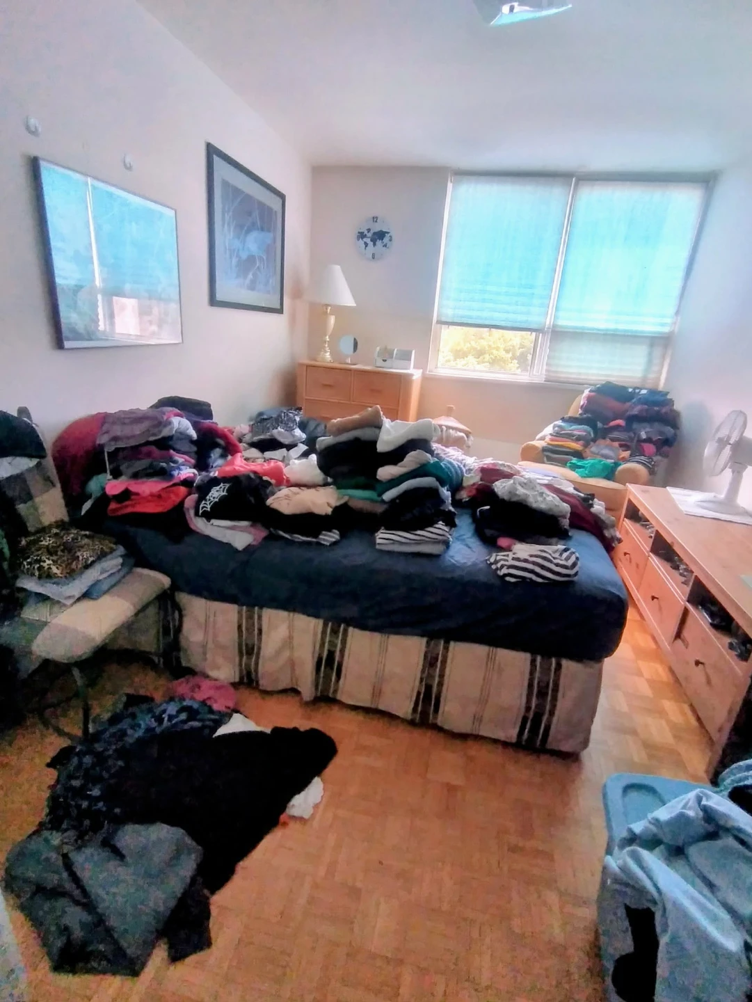 Female roommate wanted - photo 2