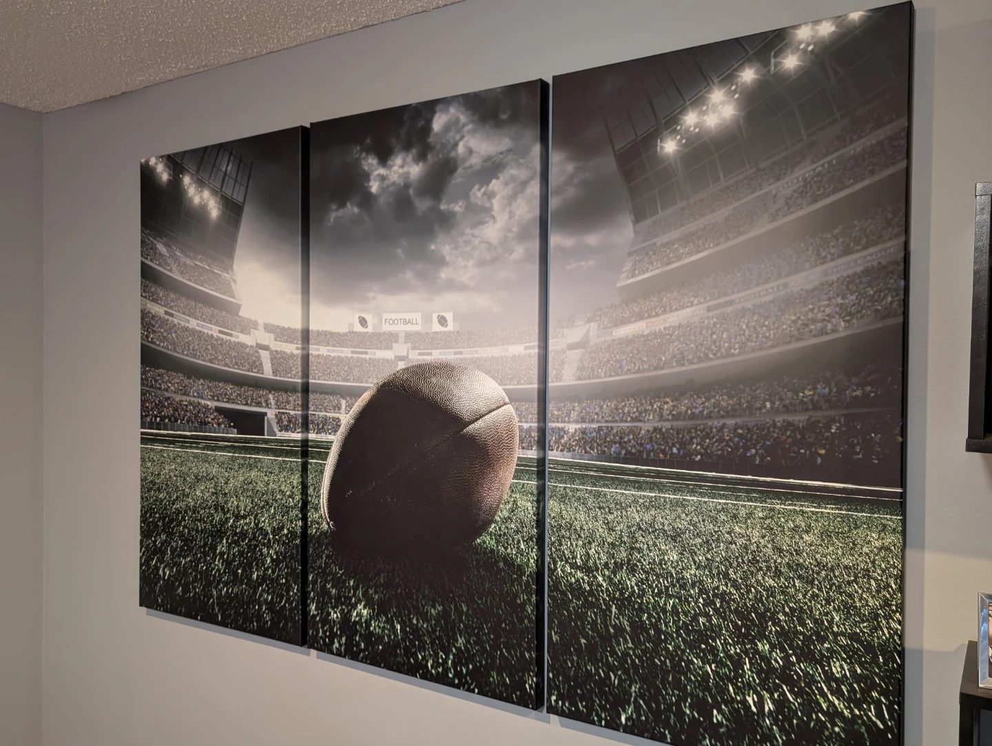 Football in a field Wall art canvas - photo 2