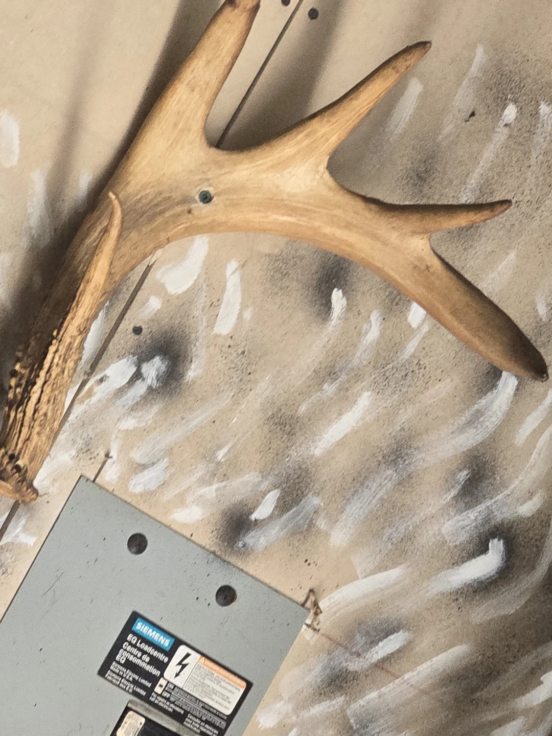 Deer Antler Wall Mount - photo 2