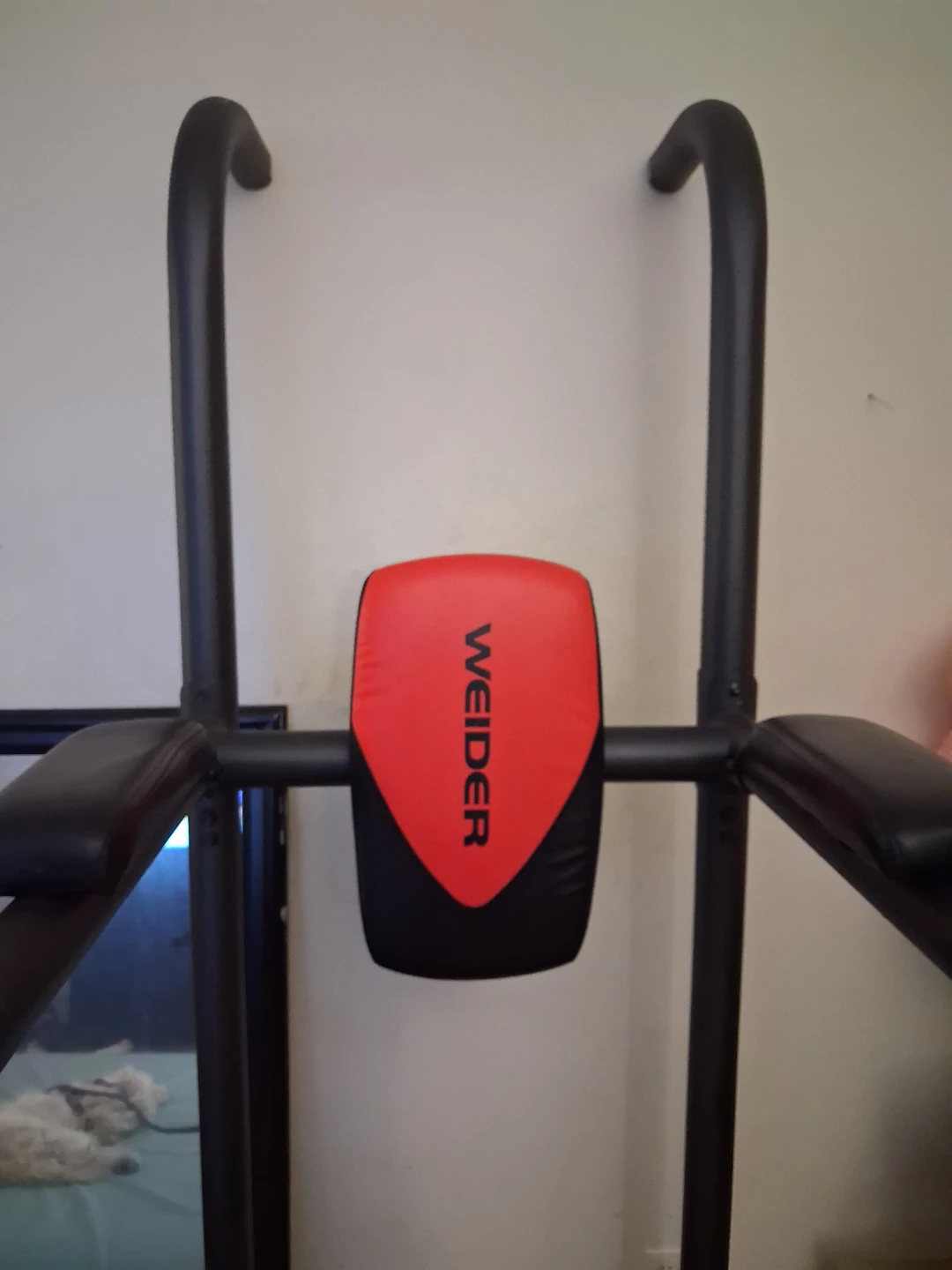 Weider Power Tower - photo 2