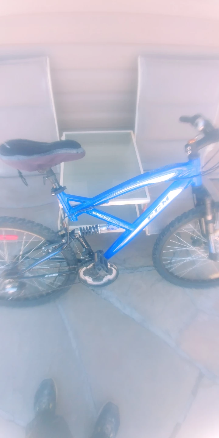 Blue CCM Mountain Bike - photo 3