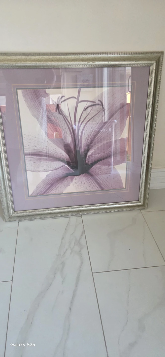 Framed Lily Art Print