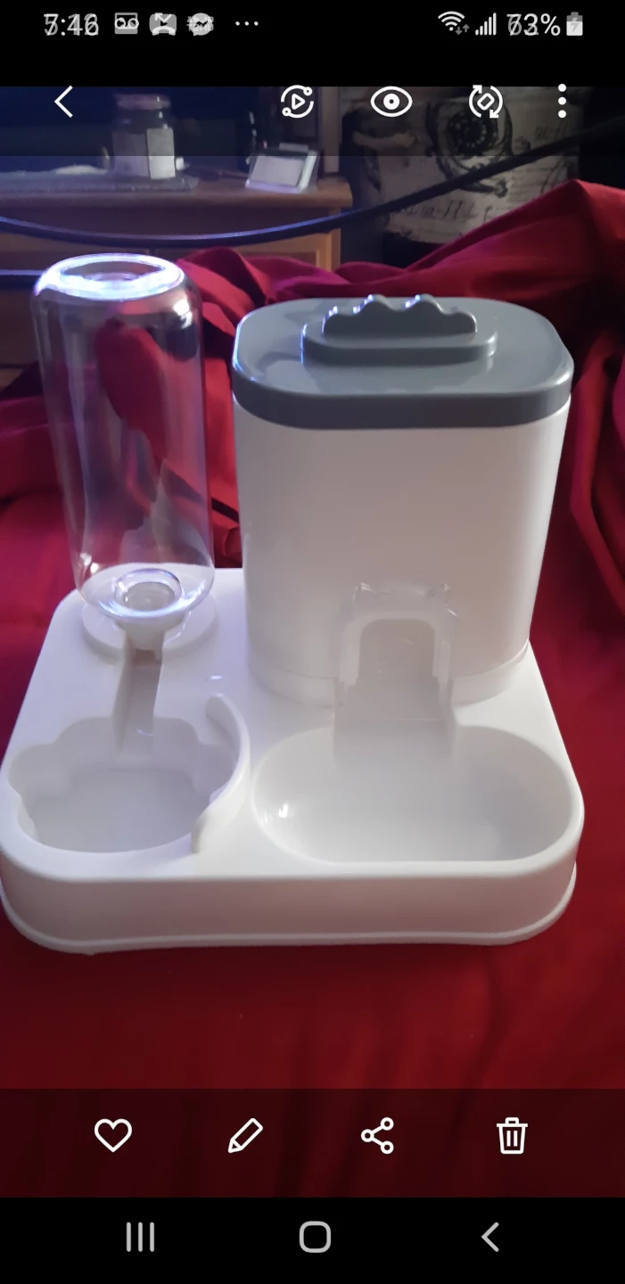 Cat feeding station or for small dog