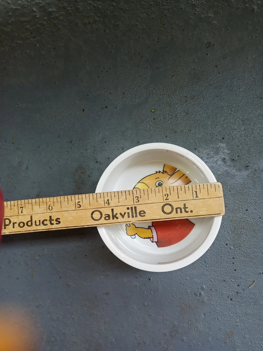 Free Ceramics Pet Bowl - photo 2