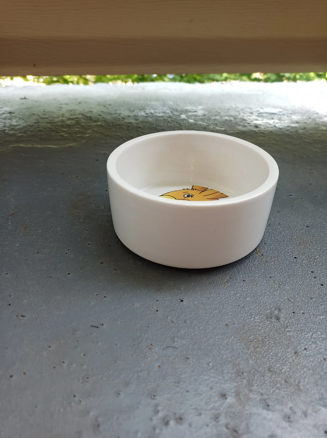 Free Ceramics Pet Bowl - photo 3