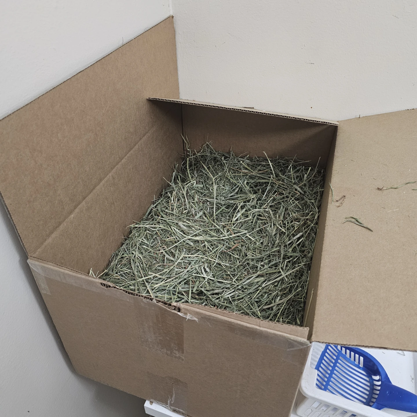 Freshay Second Cutting Hay