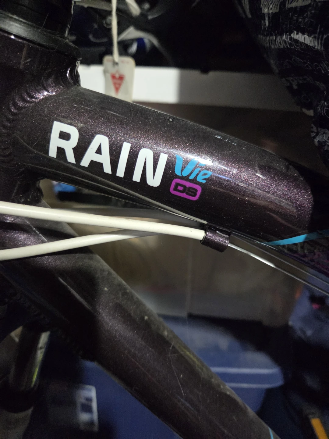 Raleigh Rainier DS Bicycle